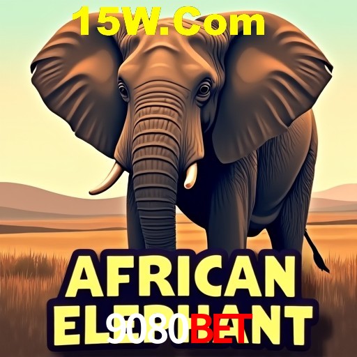 A Experiência Imersiva dos Cassinos Ao Vivo no 9080Bet